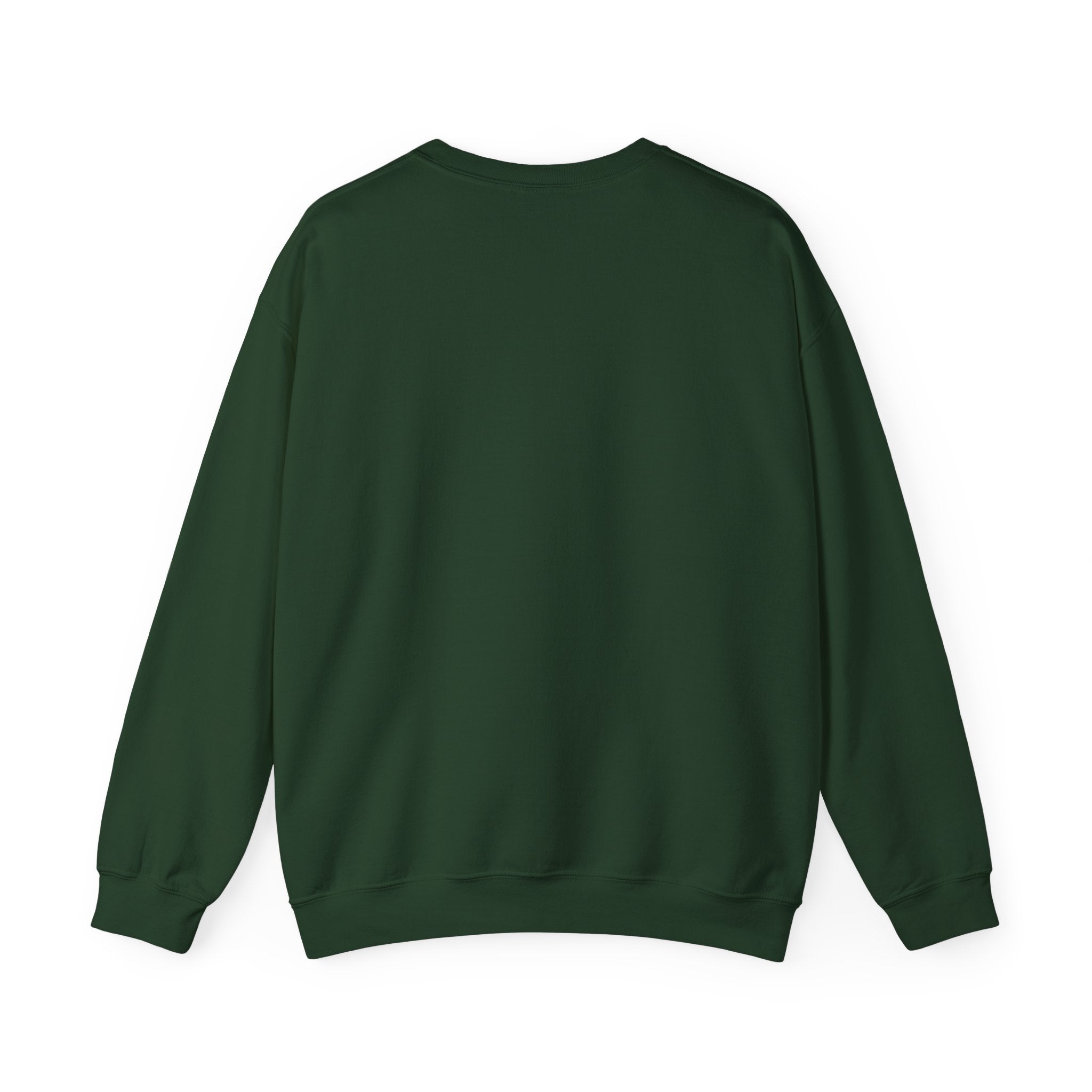 Inspirational Crewneck Sweatshirt, Womens Social Work Gift, Funny Teacher Sweater, Unisex Gift for Him Her
